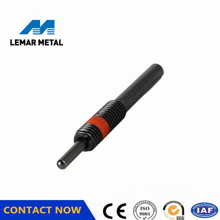 Steel Spring Plunger