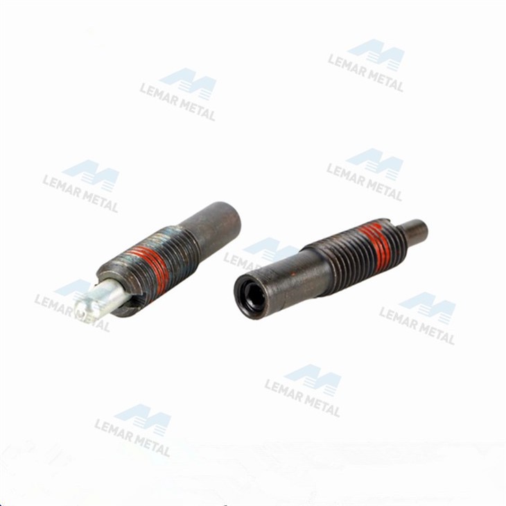 Steel Spring Plunger